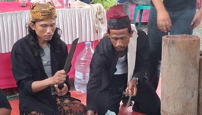 bedog lubuk karawang